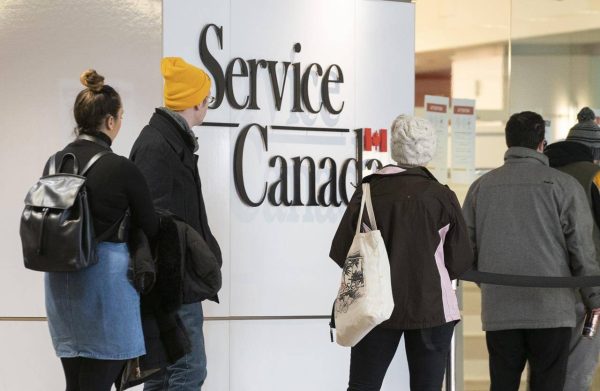 Service Canada offers social insurance number to everyone who is looking to work in Canada.