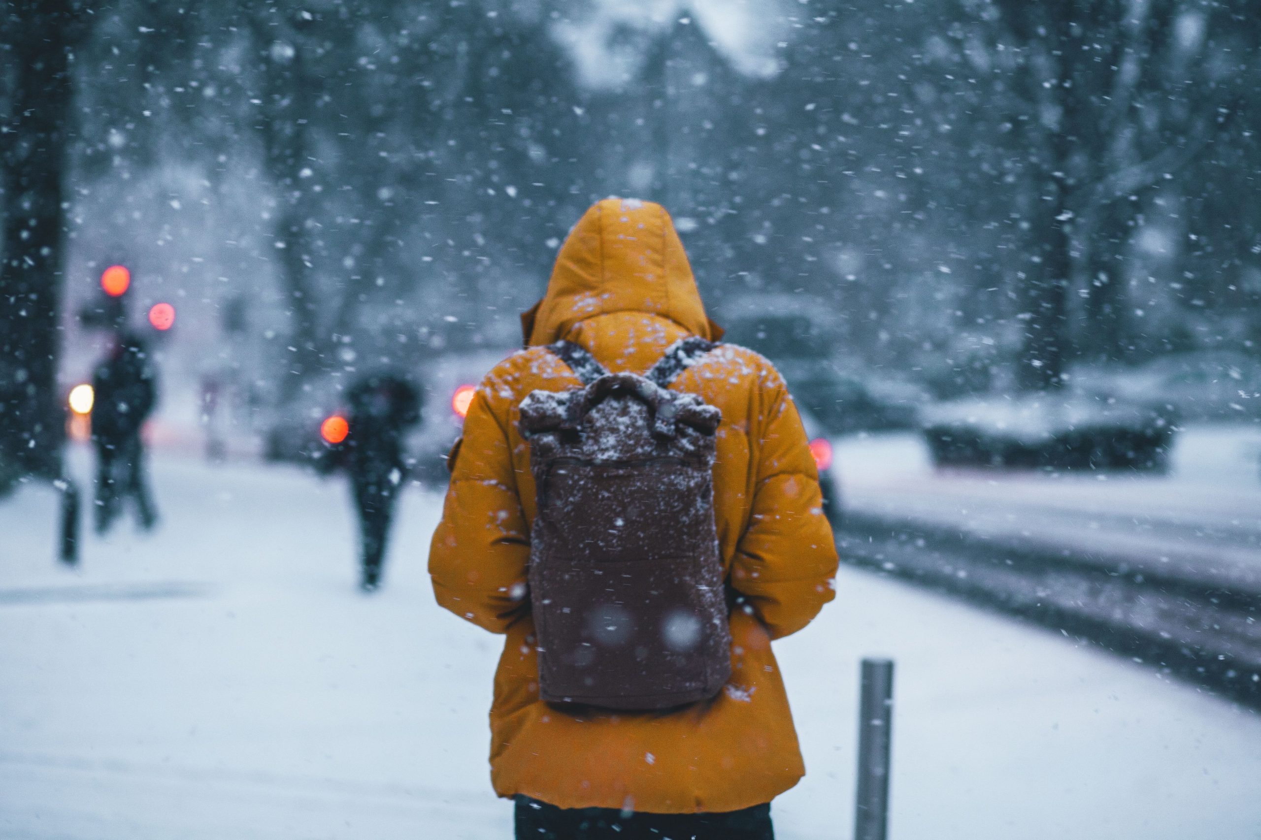 Tips and Tricks to Help You Prepare Well for Winter in Canada - The Kosha  Journal