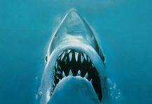 TIFF Classics marks the Festival’s 50th edition with landmark restorations TIFF Originals_Jaws